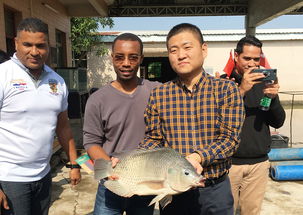 2019年海上絲綢之路國(guó)家水生動(dòng)物健康管理及檢驗(yàn)檢疫研修班項(xiàng)目圓滿落幕，成果豐碩助力畜牧漁業(yè)飼料銷售市場(chǎng)拓展